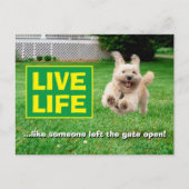 Hond loopt in de baard uitnodiging briefkaart (Voorkant)