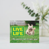 Hond loopt in de baard uitnodiging briefkaart (Staand voorkant)