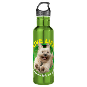 Hond loopt in de baard waterfles