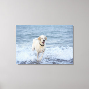 Hond loopt in water op het strand. canvas afdruk