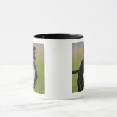 Hond loopt mok (Midden)