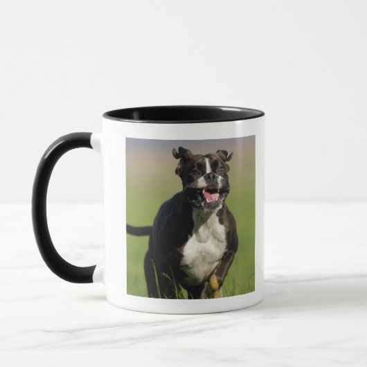 Hond loopt mok (Links)