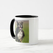 Hond loopt mok (Voorkant links)