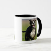Hond loopt mok (Voorkant rechts)
