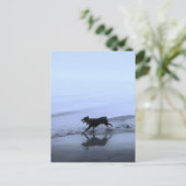 Hond loopt op strand briefkaart (Staand voorkant)