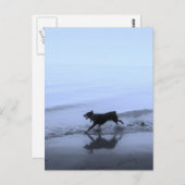 Hond loopt op strand briefkaart (Voorkant / Achterkant)