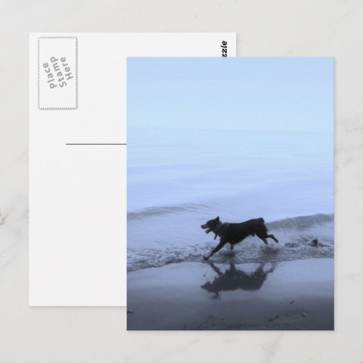 Hond loopt op strand briefkaart (Voorkant / Achterkant)