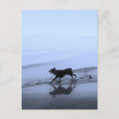Hond loopt op strand briefkaart (Voorkant)