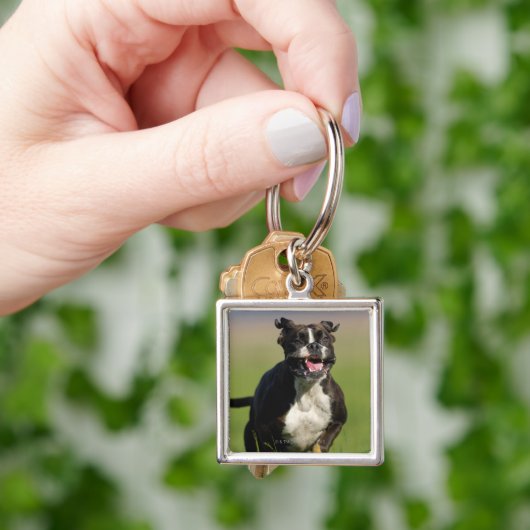 Hond loopt sleutelhanger (Hand)