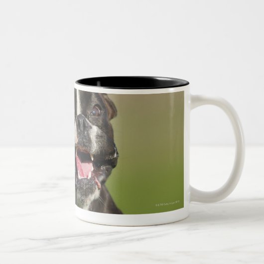 Hond loopt tweekleurige koffiemok (Rechts)
