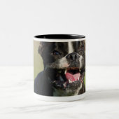 Hond loopt tweekleurige koffiemok (Center)