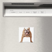 ,hond magneet (Insitu (Vaatwasser))