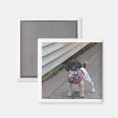 hond magneet (Voorkant / Achterkant)