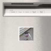 hond magneet (Insitu (Vaatwasser))