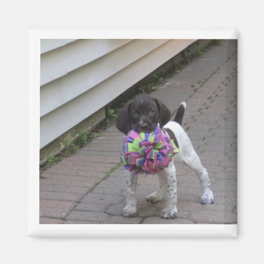 hond magneet (Voorkant)