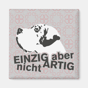 Hond Magnet Uniek, maar niet ongewoon