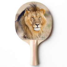 Hond majestueuze portret van wilde dieren