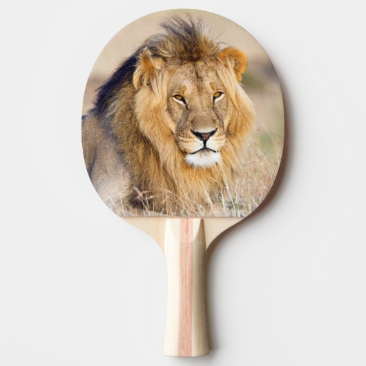 Hond majestueuze portret van wilde dieren tafeltennisbatje (Voorkant)