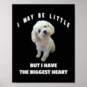 Hond Maltees Kleine Maltese Hond Ontwerp Grappige  Poster