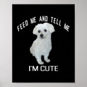 Hond Maltees Schattig Maltees Hond Grappig Quote P Poster (Voorkant)
