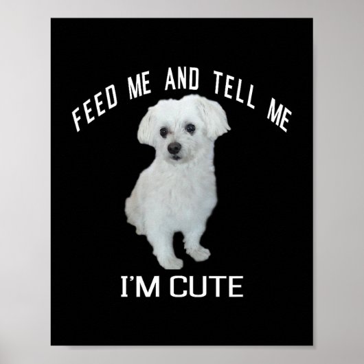 Hond Maltees Schattig Maltees Hond Grappig Quote P Poster (Voorkant)