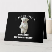 Hond Maltese Kleine Maltese Hond Ontwerp Grappige  Kaart (Voorkant)