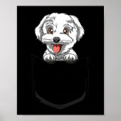 Hond Maltese Pocket Maltese Peking Out Pocket Malt Poster (Voorkant)