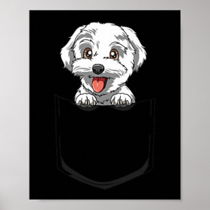 Hond Maltese Pocket Maltese Peking Out Pocket Malt Poster