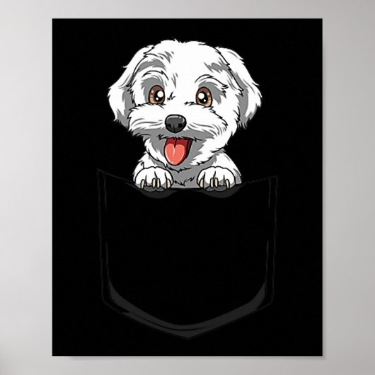 Hond Maltese Pocket Maltese Peking Out Pocket Malt Poster (Voorkant)