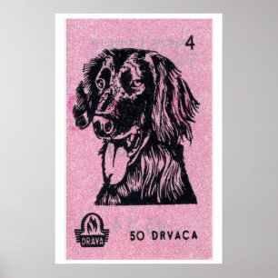 Hond Matchbox Kunstprint, Kroatische Vintage Volks Poster