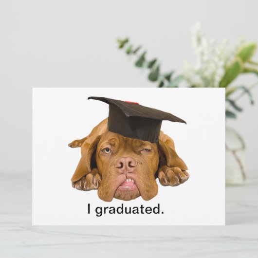 hond met afstuderen pet kaart (Staand voorkant)