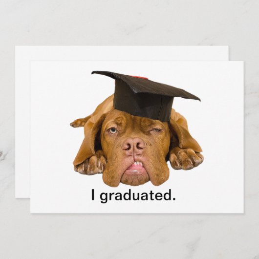 hond met afstuderen pet kaart (Voorkant / Achterkant)