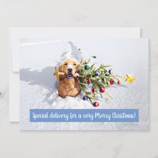 Hond Met Boom In Sneeuw Kaart (Voorkant)