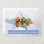 Hond Met Boom In Sneeuw Kaart (Voorkant / Achterkant)