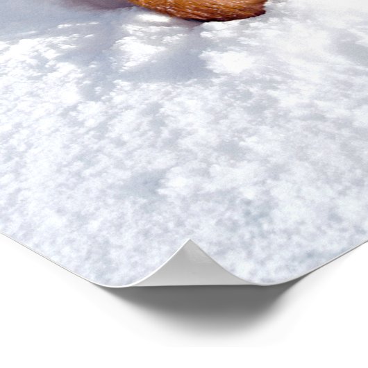 Hond met boom in sneeuw poster (Hoek)