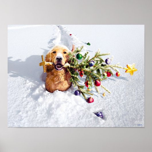 Hond met boom in sneeuw poster (Voorkant)