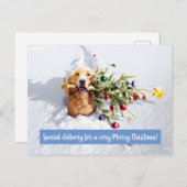 Hond Met Boom In Sneeuw Uitnodiging Briefkaart (Voorkant / Achterkant)