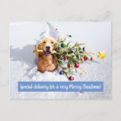 Hond Met Boom In Sneeuw Uitnodiging Briefkaart (Voorkant)