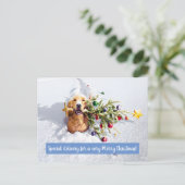 Hond Met Boom In Sneeuw Uitnodiging Briefkaart (Staand voorkant)