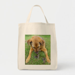 Hond met canvas tassen van konijnen