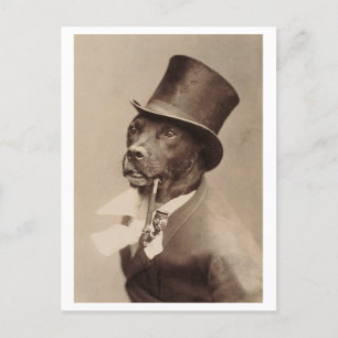 hond met een hoge hoed en pijpfoto briefkaart