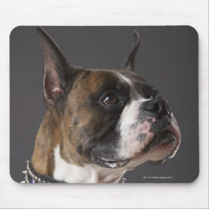 Hond met een kraag, wegkijkend muismat