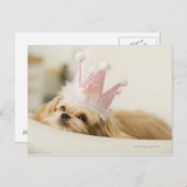 Hond met een kroon briefkaart (Voorkant / Achterkant)
