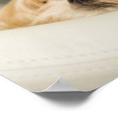 Hond met een kroon poster (Hoek)