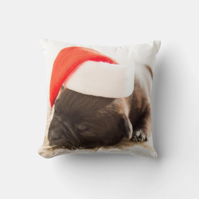 Hond met een New Years's Pet Kussen (Voorkant)