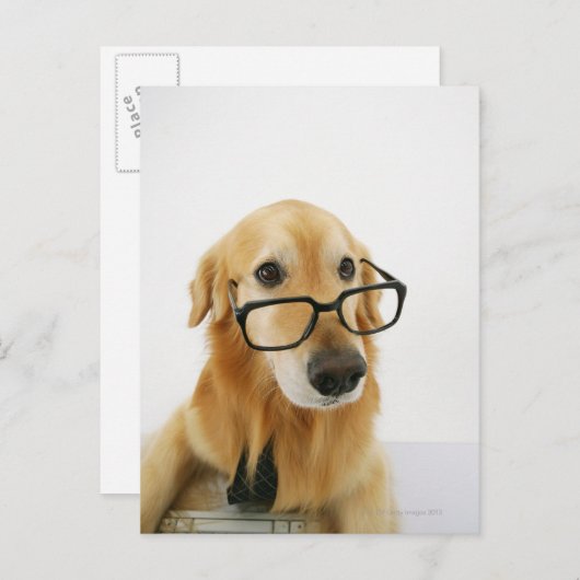 Hond met een stropdas en een bril op een stoel briefkaart (Voorkant / Achterkant)