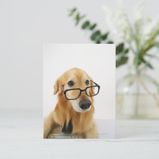 Hond met een stropdas en een bril op een stoel briefkaart (Staand voorkant)
