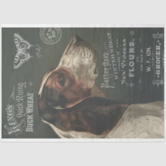  hond met ephemera-debetpapier tissuepapier