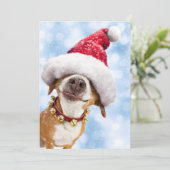 Hond Met Grote Kerstman Hoed Kaart (Staand voorkant)