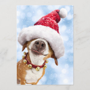 Hond Met Grote Kerstman Hoed Kaart